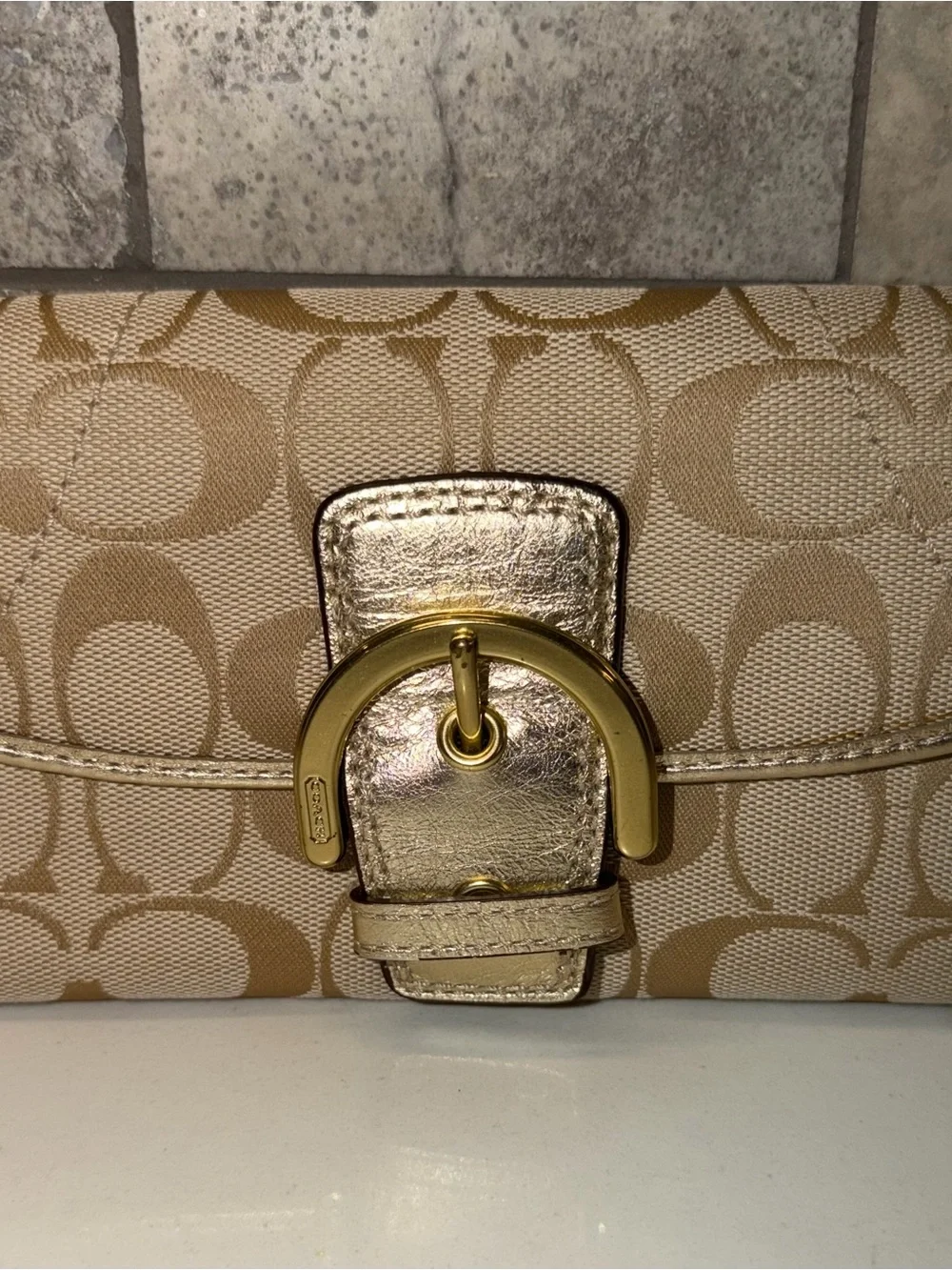 Coach Y2K Soho Signature Long Wallet